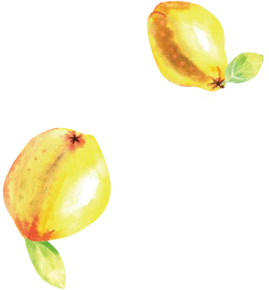 オートフ゜ラサ゛諏訪について
