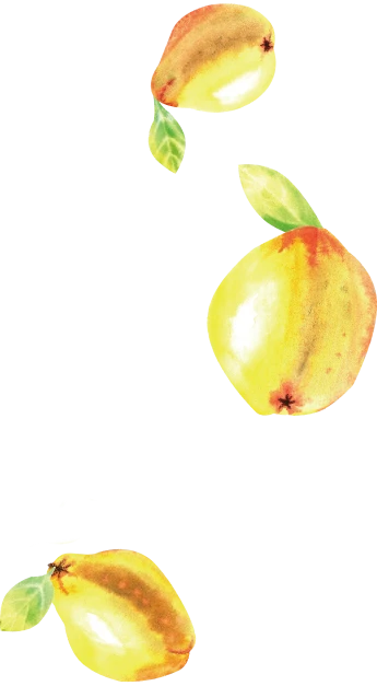 オートフ゜ラサ゛諏訪について